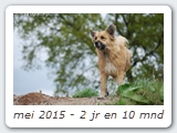 mei 2015 - 2 jr en 10 mnd