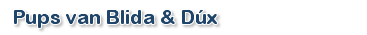 pups_blida_dux