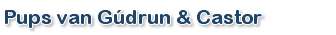 Pups Gudrun Castor