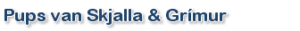 Pups Skjalla Grimur